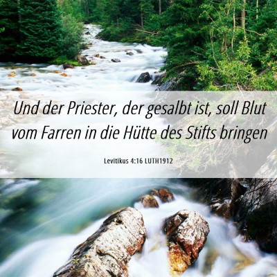 Picture 06 - Levitikus 4:16 LUTH1912 - Und der Priester, der gesalbt ist, soll Blut vom - Bible Verse Picture
