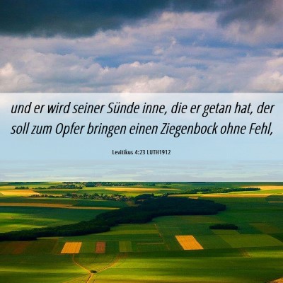 Picture 06 - Levitikus 4:23 LUTH1912 - und er wird seiner Sünde inne, die er getan hat, - Bible Verse Picture