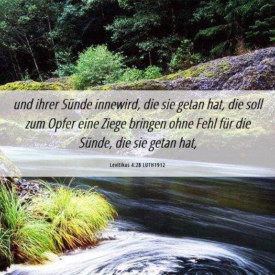 Picture 06 - Levitikus 4:28 LUTH1912 - und ihrer Sünde innewird, die sie getan hat, die - Bible Verse Picture