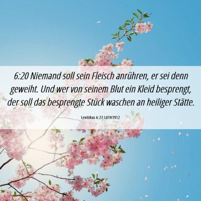 Picture 06 - Levitikus 6:27 LUTH1912 - 6:20 Niemand soll sein Fleisch anrühren, er sei - Bible Verse Picture