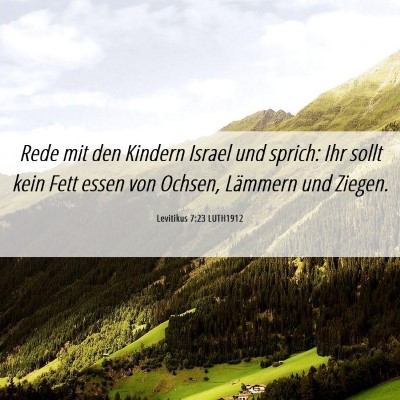 Picture 06 - Levitikus 7:23 LUTH1912 - Rede mit den Kindern Israel und sprich: Ihr sollt - Bible Verse Picture