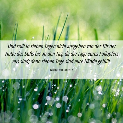 Picture 06 - Levitikus 8:33 LUTH1912 - Und sollt in sieben Tagen nicht ausgehen von der - Bible Verse Picture