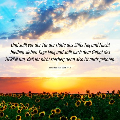 Picture 06 - Levitikus 8:35 LUTH1912 - Und sollt vor der Tür der Hütte des Stifts Tag - Bible Verse Picture