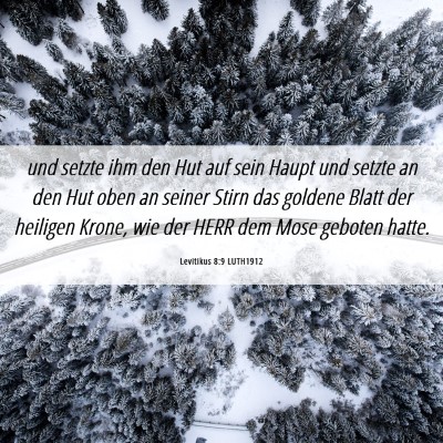 Picture 06 - Levitikus 8:9 LUTH1912 - und setzte ihm den Hut auf sein Haupt und setzte - Bible Verse Picture
