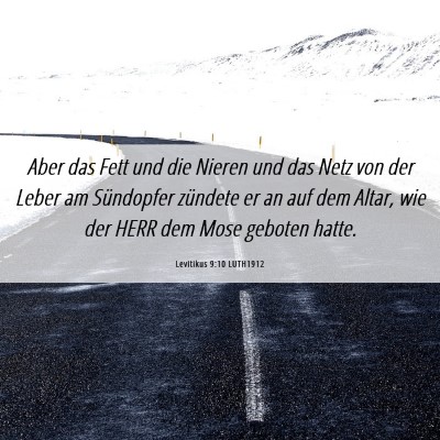Picture 06 - Levitikus 9:10 LUTH1912 - Aber das Fett und die Nieren und das Netz von der - Bible Verse Picture