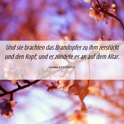 Picture 06 - Levitikus 9:13 LUTH1912 - Und sie brachten das Brandopfer zu ihm zerstückt - Bible Verse Picture
