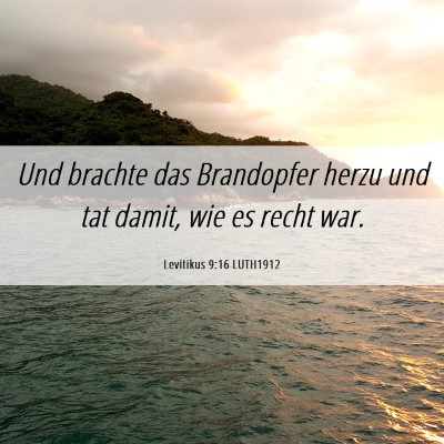 Picture 06 - Levitikus 9:16 LUTH1912 - Und brachte das Brandopfer herzu und tat damit, - Bible Verse Picture