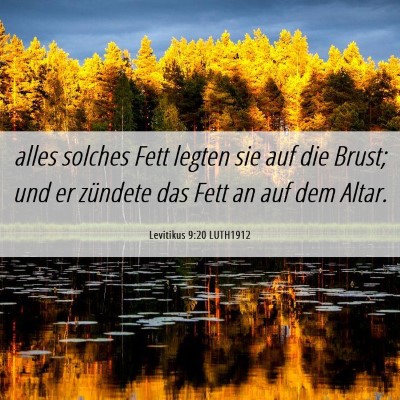 Picture 06 - Levitikus 9:20 LUTH1912 - alles solches Fett legten sie auf die Brust; und - Bible Verse Picture