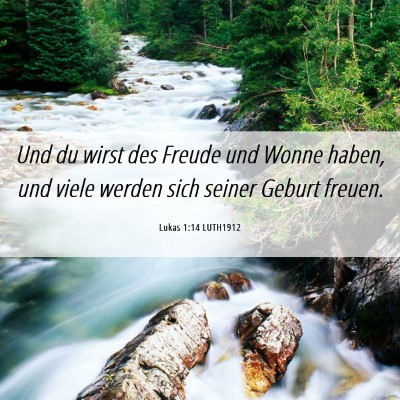 Picture 06 - Lukas 1:14 LUTH1912 - Und du wirst des Freude und Wonne haben, und - Bible Verse Picture