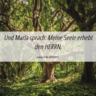 Picture 06 - Lukas 1:46 LUTH1912 - Und Maria sprach: Meine Seele erhebt den - Bible Verse Picture