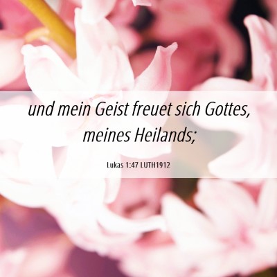 Picture 06 - Lukas 1:47 LUTH1912 - und mein Geist freuet sich Gottes, meines - Bible Verse Picture