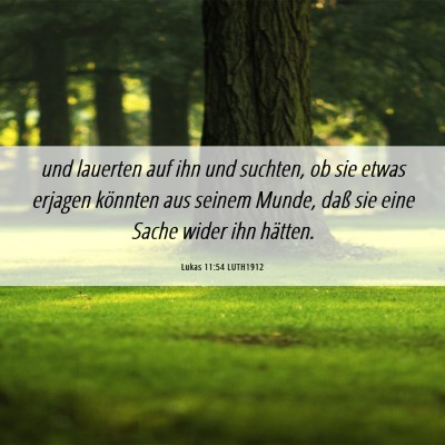Picture 06 - Lukas 11:54 LUTH1912 - und lauerten auf ihn und suchten, ob sie etwas - Bible Verse Picture
