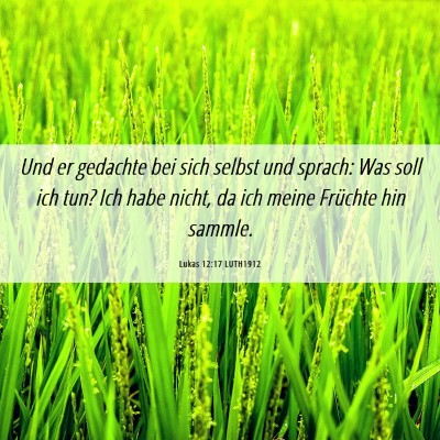 Picture 06 - Lukas 12:17 LUTH1912 - Und er gedachte bei sich selbst und sprach: Was - Bible Verse Picture