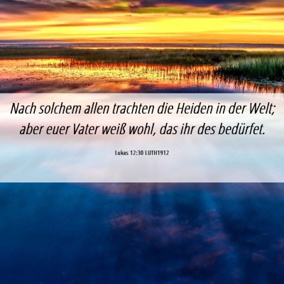 Picture 06 - Lukas 12:30 LUTH1912 - Nach solchem allen trachten die Heiden in der - Bible Verse Picture