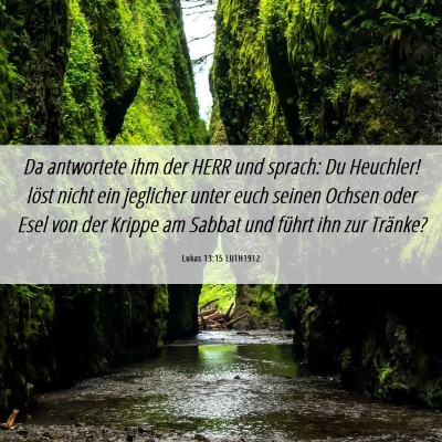 Picture 06 - Lukas 13:15 LUTH1912 - Da antwortete ihm der HERR und sprach: Du - Bible Verse Picture
