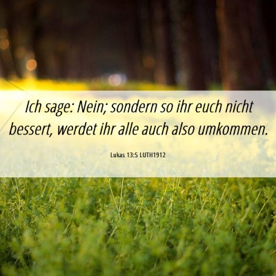 Picture 06 - Lukas 13:5 LUTH1912 - Ich sage: Nein; sondern so ihr euch nicht - Bible Verse Picture