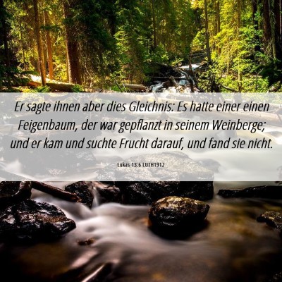 Picture 06 - Lukas 13:6 LUTH1912 - Er sagte ihnen aber dies Gleichnis: Es hatte - Bible Verse Picture