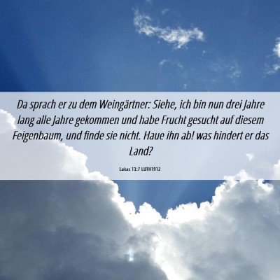 Picture 06 - Lukas 13:7 LUTH1912 - Da sprach er zu dem Weingärtner: Siehe, ich bin - Bible Verse Picture