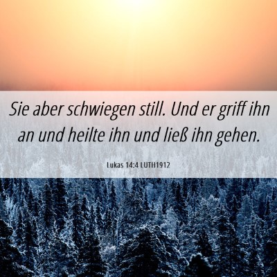 Picture 06 - Lukas 14:4 LUTH1912 - Sie aber schwiegen still. Und er griff ihn an und - Bible Verse Picture