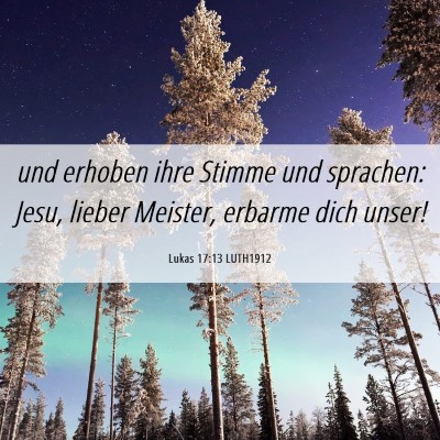 Picture 06 - Lukas 17:13 LUTH1912 - und erhoben ihre Stimme und sprachen: Jesu, - Bible Verse Picture