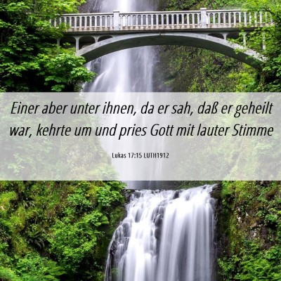 Picture 06 - Lukas 17:15 LUTH1912 - Einer aber unter ihnen, da er sah, daß er - Bible Verse Picture