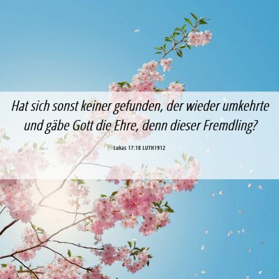 Picture 06 - Lukas 17:18 LUTH1912 - Hat sich sonst keiner gefunden, der wieder - Bible Verse Picture