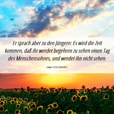 Picture 06 - Lukas 17:22 LUTH1912 - Er sprach aber zu den Jüngern: Es wird die Zeit - Bible Verse Picture