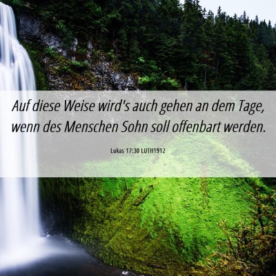 Picture 06 - Lukas 17:30 LUTH1912 - Auf diese Weise wird's auch gehen an dem Tage, - Bible Verse Picture