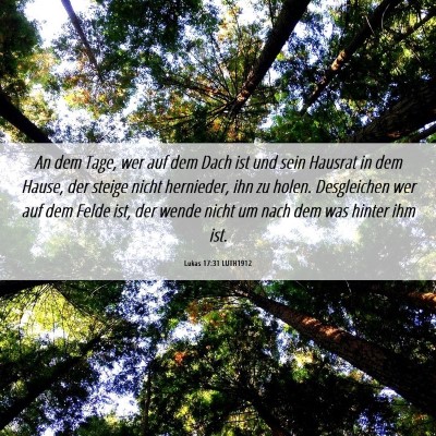 Picture 06 - Lukas 17:31 LUTH1912 - An dem Tage, wer auf dem Dach ist und sein - Bible Verse Picture