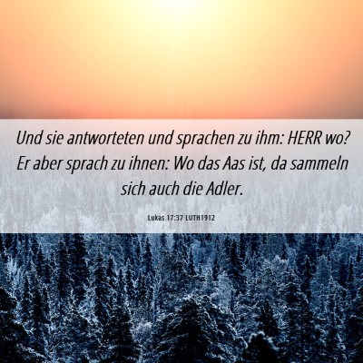 Picture 06 - Lukas 17:37 LUTH1912 - Und sie antworteten und sprachen zu ihm: HERR wo? - Bible Verse Picture
