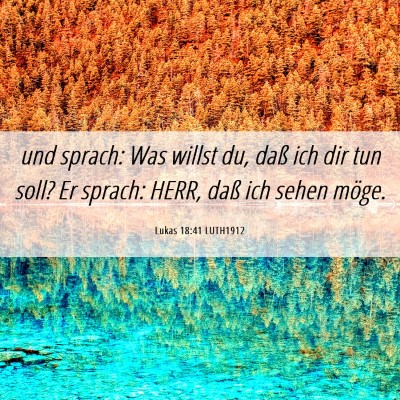 Picture 06 - Lukas 18:41 LUTH1912 - und sprach: Was willst du, daß ich dir tun soll? - Bible Verse Picture