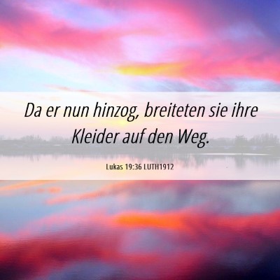 Picture 06 - Lukas 19:36 LUTH1912 - Da er nun hinzog, breiteten sie ihre Kleider auf - Bible Verse Picture