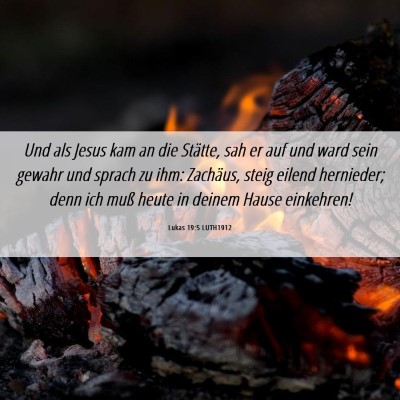 Picture 06 - Lukas 19:5 LUTH1912 - Und als Jesus kam an die Stätte, sah er auf und - Bible Verse Picture