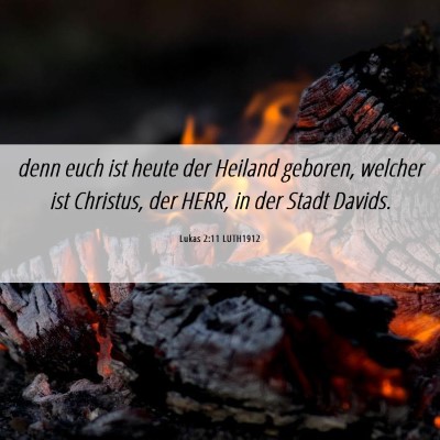 Picture 06 - Lukas 2:11 LUTH1912 - denn euch ist heute der Heiland geboren, welcher - Bible Verse Picture