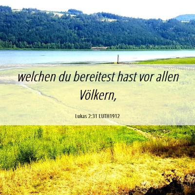 Picture 06 - Lukas 2:31 LUTH1912 - welchen du bereitest hast vor allen - Bible Verse Picture