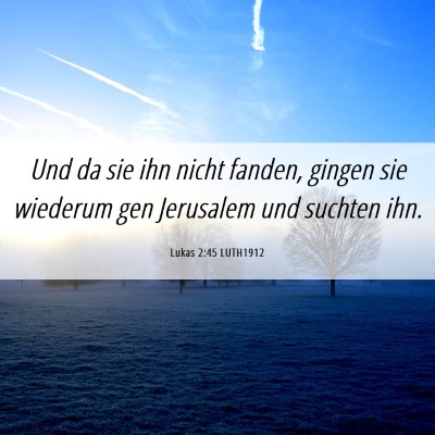 Picture 06 - Lukas 2:45 LUTH1912 - Und da sie ihn nicht fanden, gingen sie wiederum - Bible Verse Picture