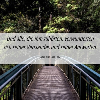 Picture 06 - Lukas 2:47 LUTH1912 - Und alle, die ihm zuhörten, verwunderten sich - Bible Verse Picture