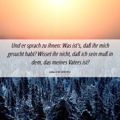 Picture 06 - Lukas 2:49 LUTH1912 - Und er sprach zu ihnen: Was ist's, daß ihr mich - Bible Verse Picture