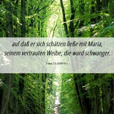 Picture 06 - Lukas 2:5 LUTH1912 - auf daß er sich schätzen ließe mit Maria, - Bible Verse Picture