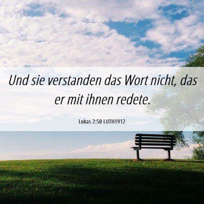 Picture 06 - Lukas 2:50 LUTH1912 - Und sie verstanden das Wort nicht, das er mit - Bible Verse Picture