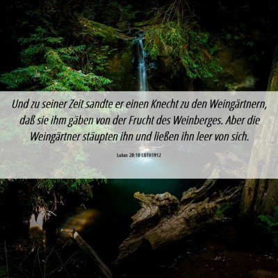 Picture 06 - Lukas 20:10 LUTH1912 - Und zu seiner Zeit sandte er einen Knecht zu den - Bible Verse Picture