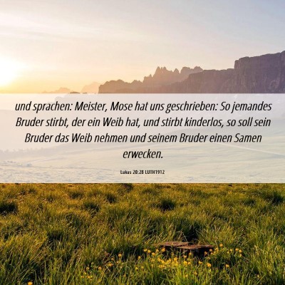 Picture 06 - Lukas 20:28 LUTH1912 - und sprachen: Meister, Mose hat uns geschrieben: - Bible Verse Picture