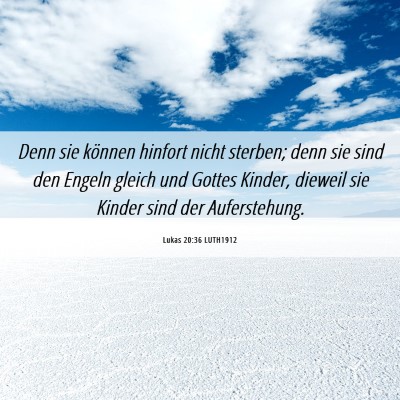 Picture 06 - Lukas 20:36 LUTH1912 - Denn sie können hinfort nicht sterben; denn sie - Bible Verse Picture