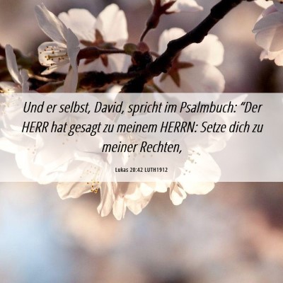 Picture 06 - Lukas 20:42 LUTH1912 - Und er selbst, David, spricht im Psalmbuch: - Bible Verse Picture