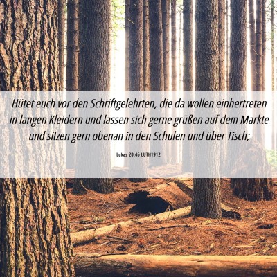 Picture 06 - Lukas 20:46 LUTH1912 - Hütet euch vor den Schriftgelehrten, die da - Bible Verse Picture