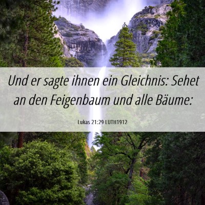 Picture 06 - Lukas 21:29 LUTH1912 - Und er sagte ihnen ein Gleichnis: Sehet an den - Bible Verse Picture