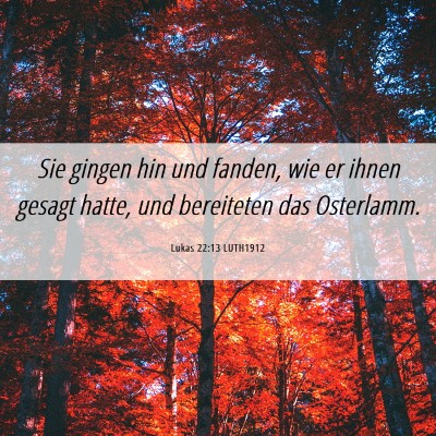 Picture 06 - Lukas 22:13 LUTH1912 - Sie gingen hin und fanden, wie er ihnen gesagt - Bible Verse Picture