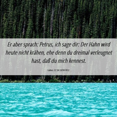Picture 06 - Lukas 22:34 LUTH1912 - Er aber sprach: Petrus, ich sage dir: Der Hahn - Bible Verse Picture