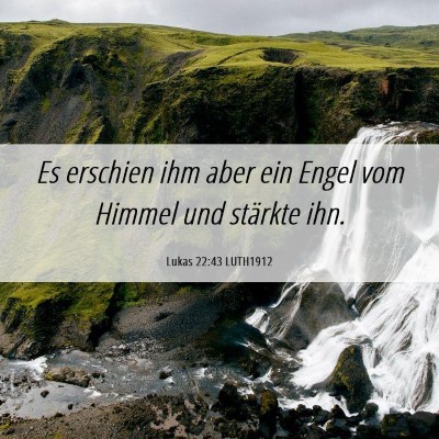 Picture 06 - Lukas 22:43 LUTH1912 - Es erschien ihm aber ein Engel vom Himmel und - Bible Verse Picture