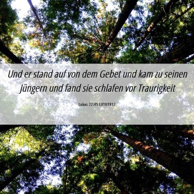 Picture 06 - Lukas 22:45 LUTH1912 - Und er stand auf von dem Gebet und kam zu seinen - Bible Verse Picture